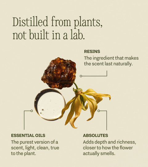 Natural Perfumes