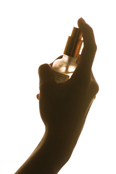 Body Mist • Dalmacia Rose