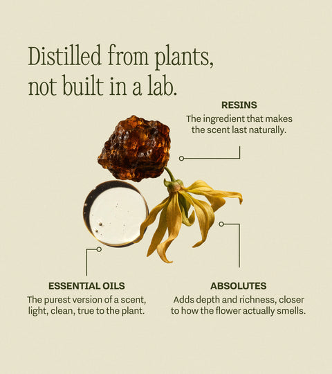 Natural Perfumes
