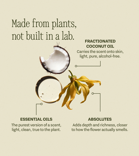 Perfume Oil Roll-On